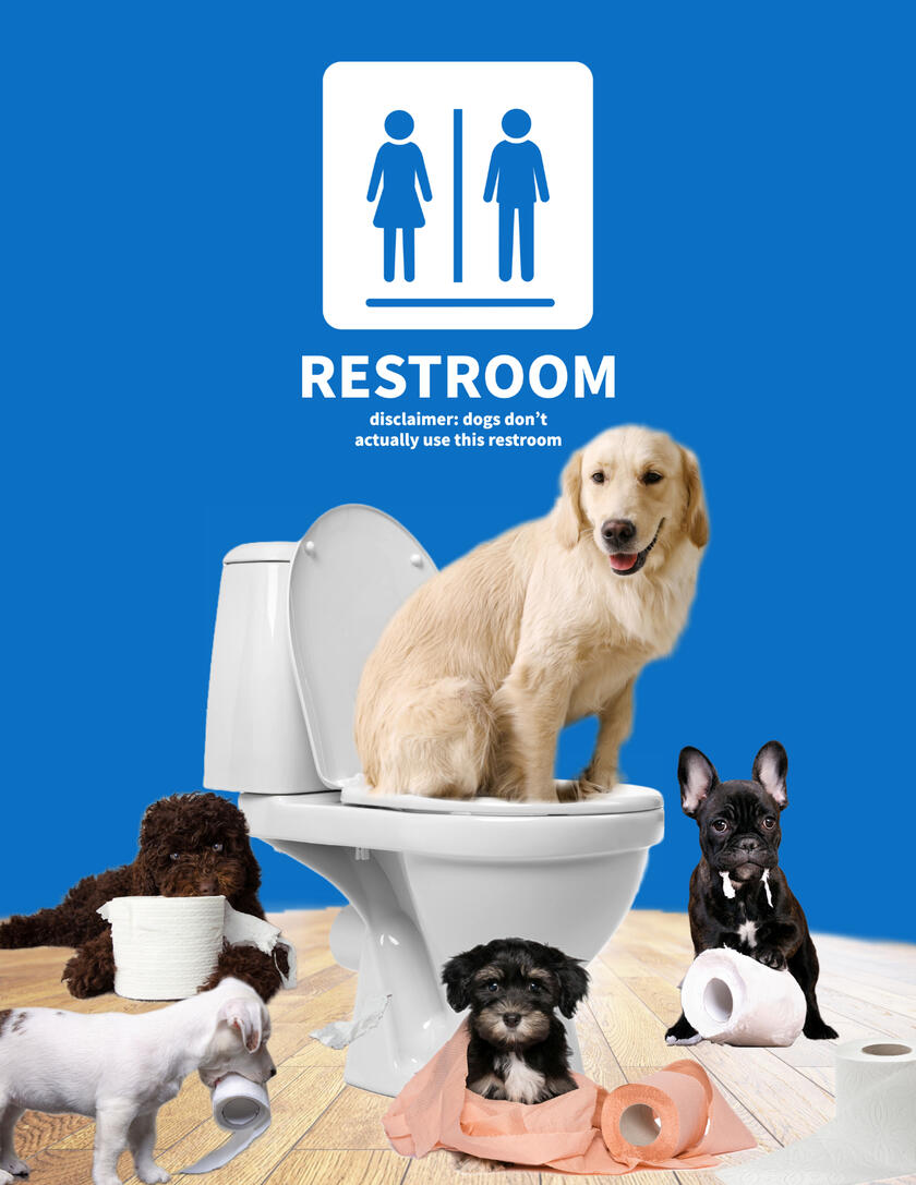 PCL Restroom Door Wrap Design