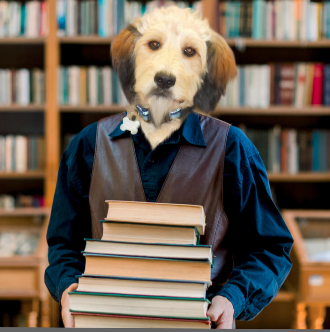 Social Media Photoshop Work